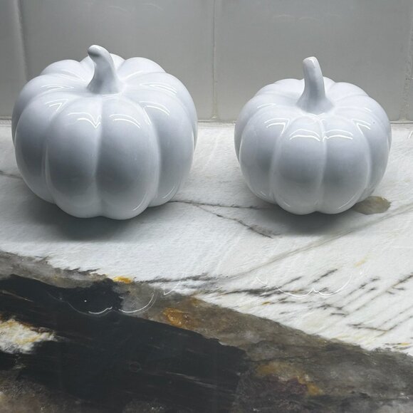 Thanksgiving Centerpiece Set Of 7 White Mini Ceramic Pumpkins - Picture 4 of 15